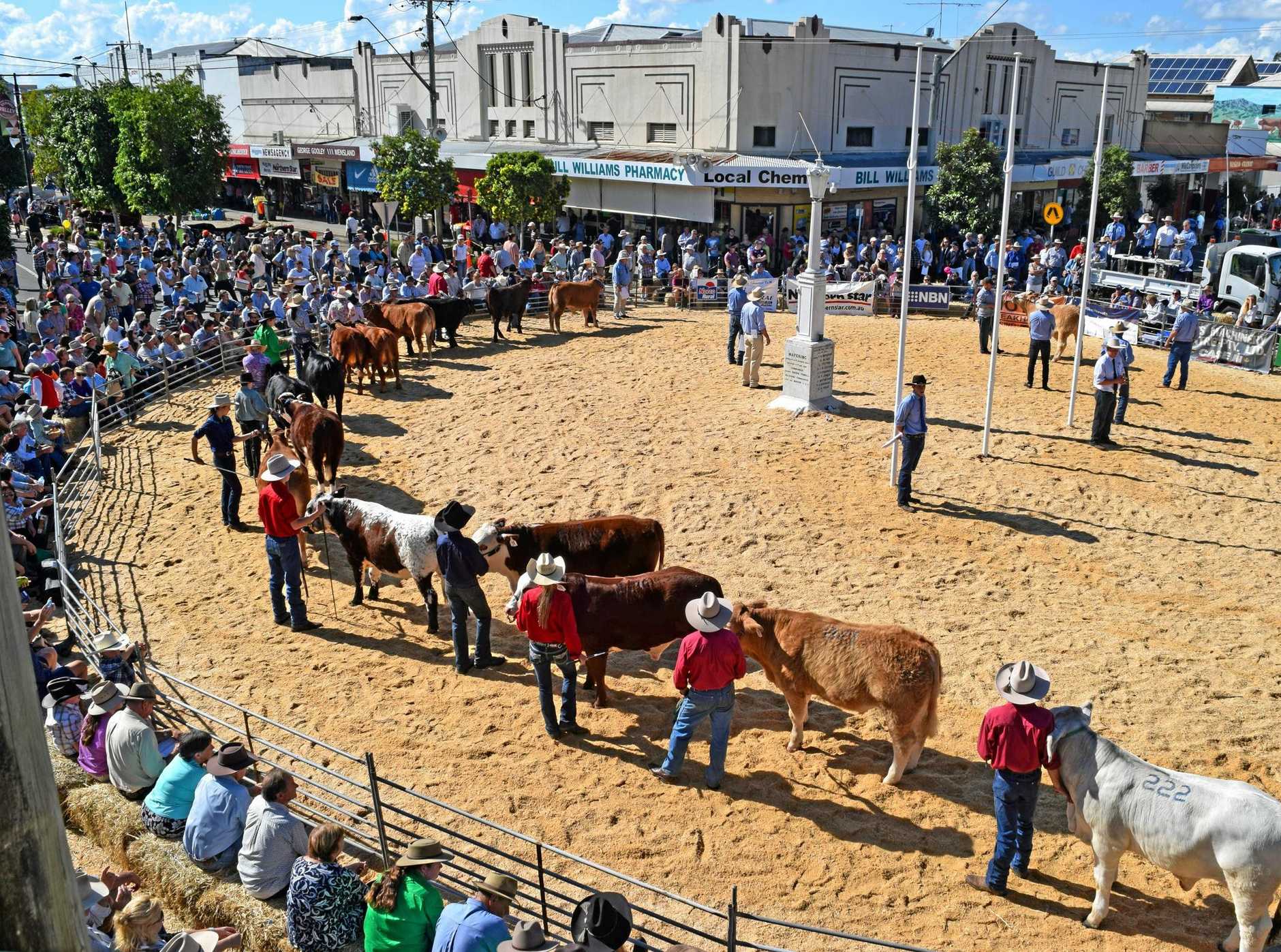 Casino Beef week 2019 in Australia Westlawn Finance