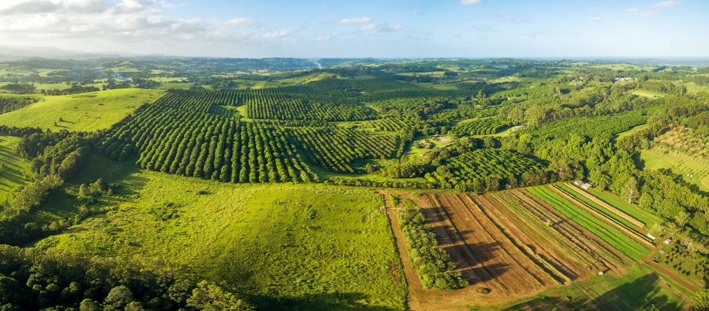 Aerial country view